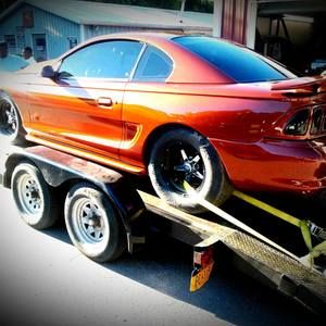 Meet your Posher, Shawn